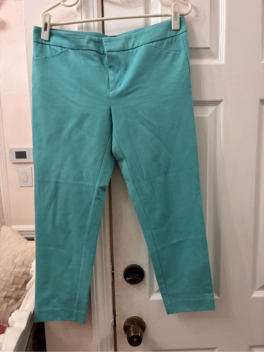 Cynthia Rowley Teal Crop Pants